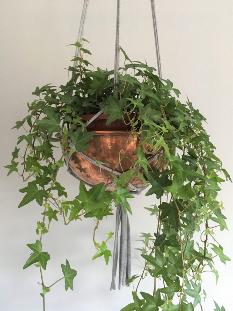 Plant hanger how to