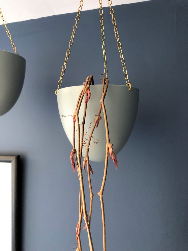 hanging plant pot hack