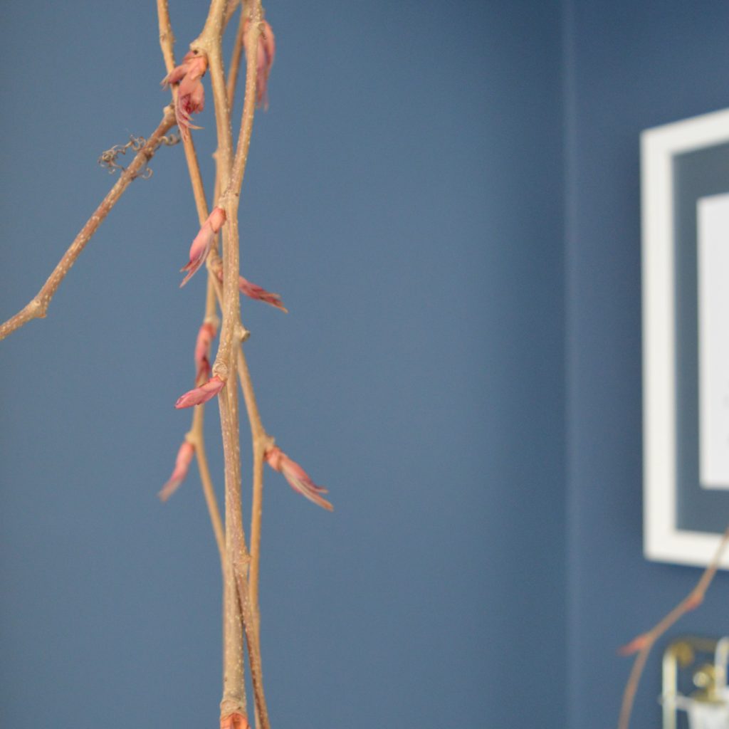 Farrow & Ball Stiffkey Blue bedroom