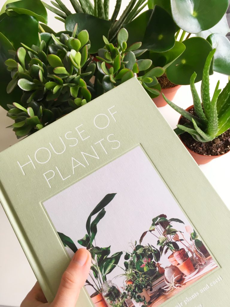 House of plants