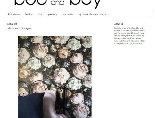the boo and the boy January 2018