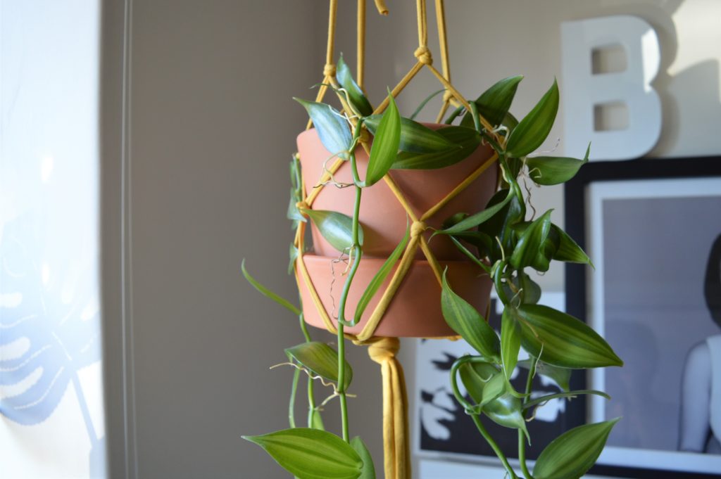 Plant hanger easy how to Home Made Productions